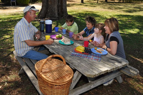 Naracoorte Caves Camping And Accomodation - Northern Rivers Accommodation 0