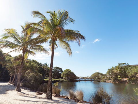 Novotel Sunshine Coast Resort - Northern Rivers Accommodation 1