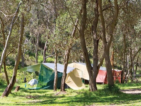 Pebbly Beach Campground - Yuraygir National Park - Northern Rivers Accommodation 1