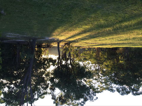 Possum's Hollow And Hooter's Hut - Northern Rivers Accommodation 0