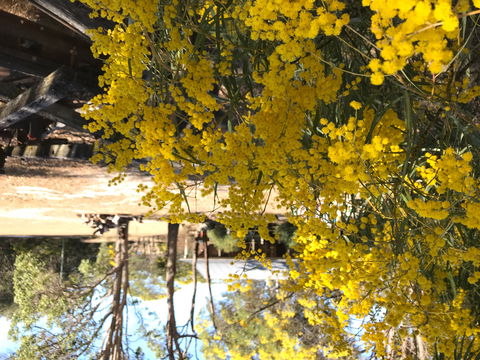 Possum's Hollow And Hooter's Hut - Northern Rivers Accommodation 1