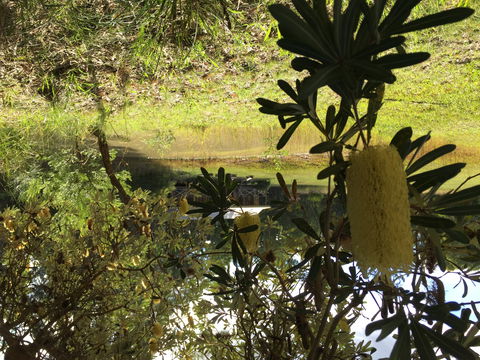 Possum's Hollow And Hooter's Hut - Northern Rivers Accommodation 2