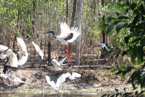 Rakhi Retreat - Northern Rivers Accommodation 0