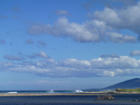 Scamander On The Beach - Northern Rivers Accommodation 1