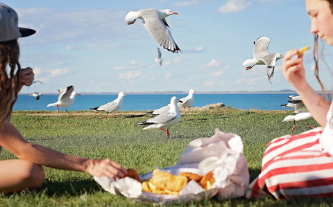 Seafarers Robe - Northern Rivers Accommodation 0