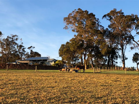 Great Southern Outback Tours & Accommodation - Northern Rivers Accommodation 2