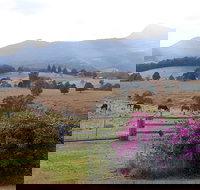 The Barn  House Farm Stay at Possum Manor - Northern Rivers Accommodation