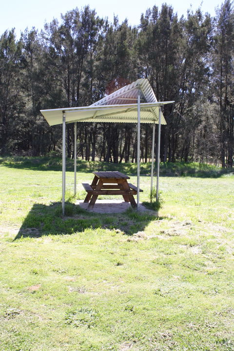 Tuena Camping And Picnic Ground - Northern Rivers Accommodation 2