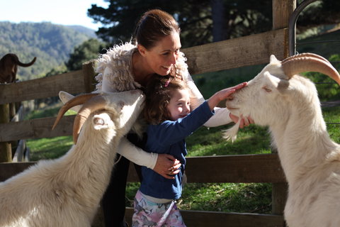 Valley View Nature Retreat - Northern Rivers Accommodation 1