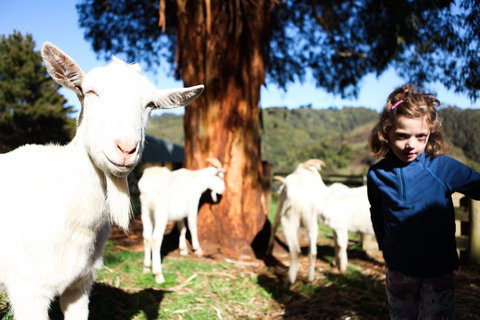 Valley View Nature Retreat - Northern Rivers Accommodation 2