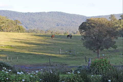 Wallaby Cottage - Northern Rivers Accommodation 0