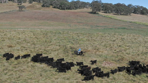 Waterloo Station - Northern Rivers Accommodation 2