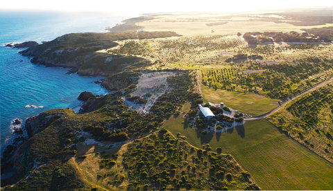 Yondah Beach House - Northern Rivers Accommodation 1