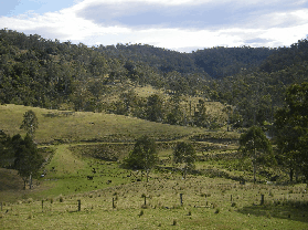 Yasuragi Cabins - Northern Rivers Accommodation