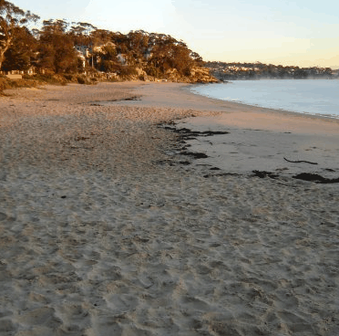 Beachhaven Bed & Breakfast - Northern Rivers Accommodation 5