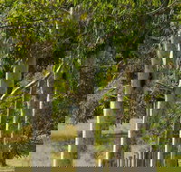 Stringybark Cottages - Northern Rivers Accommodation