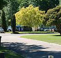 Mitchell Gardens Holiday Park - Northern Rivers Accommodation
