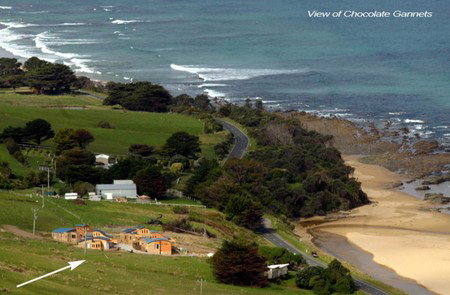 Chocolate Gannets - Northern Rivers Accommodation 1