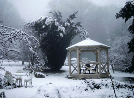 Arcadia Cottages - Northern Rivers Accommodation 2