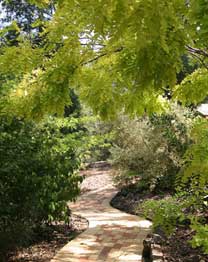 Eagle Hammer Cottages - Northern Rivers Accommodation 0