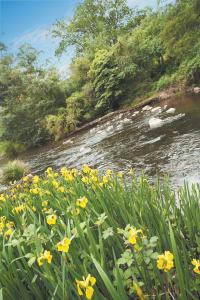 Grange Yarra Valley - Northern Rivers Accommodation 4