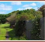 Orchard Cottage - Northern Rivers Accommodation
