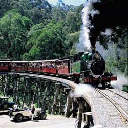 Yuulong Bed And Breakfast - Northern Rivers Accommodation 5