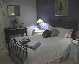 Chestnut Hill Country Retreat - Northern Rivers Accommodation 4