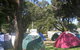 QueenscliffeTourist Park - thumb 2