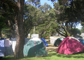 QueenscliffeTourist Park - Northern Rivers Accommodation 2