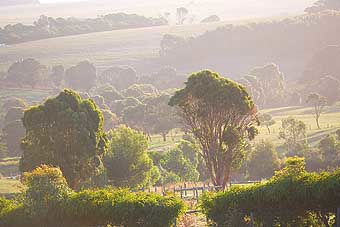 Mackas Farm - Northern Rivers Accommodation 0