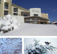 Chalet Hotham - Northern Rivers Accommodation