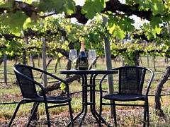 De Vine Escape - Northern Rivers Accommodation 2