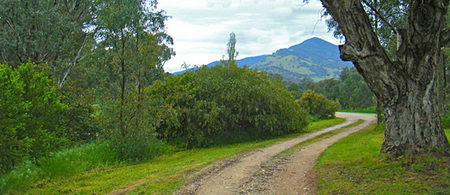 Baranduda Homestead - Northern Rivers Accommodation 1