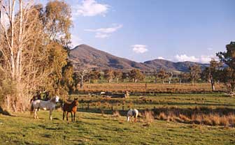 Baranduda Homestead - Northern Rivers Accommodation 5