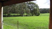 The Glen Farm Cottages - Northern Rivers Accommodation 2