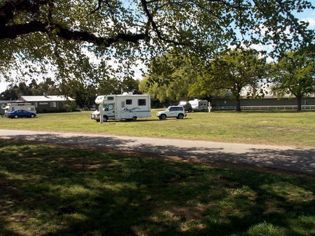 Sale Showground Caravan And Motorhome Park - Northern Rivers Accommodation 0