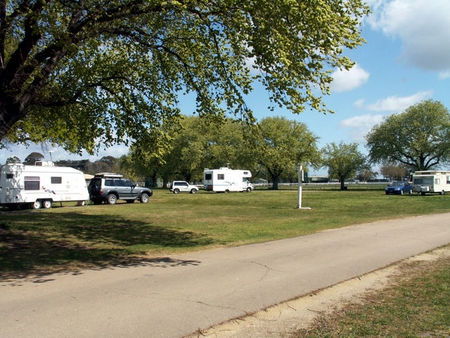 Sale Showground Caravan And Motorhome Park - Northern Rivers Accommodation 1