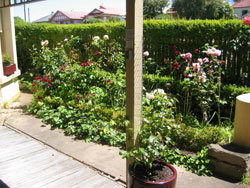 Girt By Sea - Northern Rivers Accommodation 5