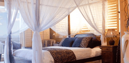 Avocado Sunset - Northern Rivers Accommodation 2