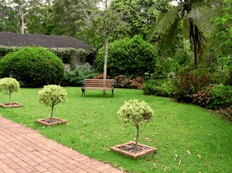 Tall Trees Motel - Northern Rivers Accommodation 2