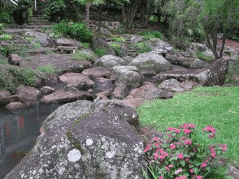 Tall Trees Motel - Northern Rivers Accommodation 3