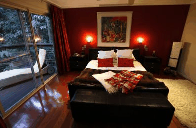 Songbirds Rainforest Retreat - Northern Rivers Accommodation 4