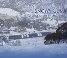 Snowy Gums Chalet - thumb 0