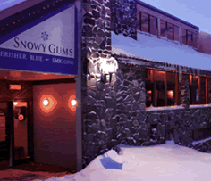 Snowy Gums Chalet - thumb 2