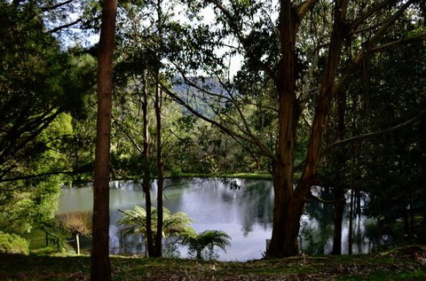 Mirador Springs - Northern Rivers Accommodation 1