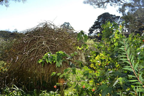 Mirador Springs - Northern Rivers Accommodation 3