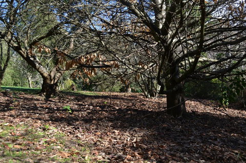 Mirador Springs - Northern Rivers Accommodation 5