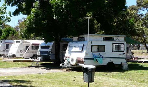 Avondel Caravan Park - Northern Rivers Accommodation 0