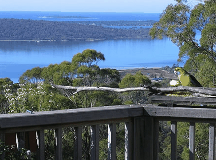 Bed in the Treetops - Northern Rivers Accommodation